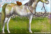 Horse Color:Nacre White Spotted Brown Onyx Rabicano 