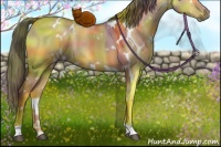 Horse Color:Nacre White Spotted Buckskin Dun Rabicano 