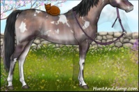 Horse Color:Plaid  White Spotted Brown Onyx 