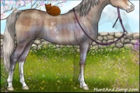 Horse Color:Plaid  Silver Bay Dun Sabino 
