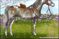 Horse Color:Plaid  White Spotted Silver Brown Onyx Rabicano 