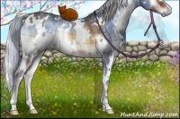 Horse Color:Plaid  White Spotted Silver Brown Onyx 