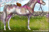Horse Color:Nacre White Spotted Silver Brown Onyx Rabicano
