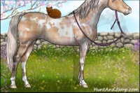 Horse Color:Plaid  White Spotted Silver Brown Dun 