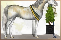 Horse Color:White Spotted Chocolate Palomino Onyx Mushroom Sabino Splash 