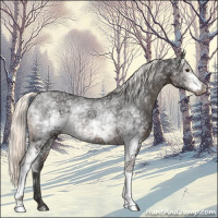 Horse Color:White Spotted Liver Chestnut Mushroom Rabicano 