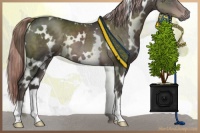 Horse Color:Platinum White Spotted Liver Chestnut 