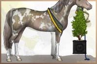 Horse Color:Platinum White Spotted Liver Chestnut 