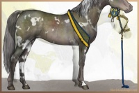 Horse Color:Platinum White Spotted Liver Chestnut 