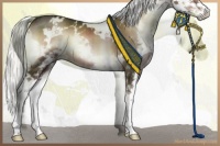 Horse Color:White Spotted Liver Red Onyx Mushroom Splash 