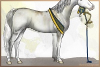 Horse Color:White Spotted Liver Red Onyx Pearl Mushroom Splash Rabicano 