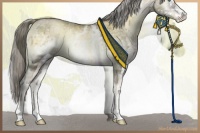 Horse Color:White Spotted Chocolate Palomino Ice Pearl Onyx Mushroom Frame Rabicano 