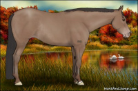 Horse Color:Classic Champagne Rabicano 