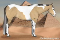 Horse Color:Buckskin Dun Splash Tobiano Rabicano 