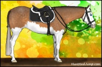 Horse Color:Buckskin Roan Splash Appaloosa