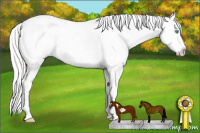 Horse Color:Silver Perlino Splash Tobiano Frame Appaloosa Rabicano 