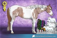 Horse Color:Chestnut Ice Sabino Splash Tobiano Varnish Rabicano 