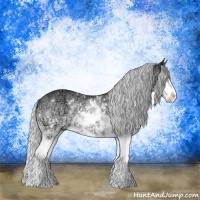 Horse Color:Silver Bay Chinchilla Ice Sabino 