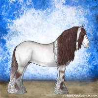 Horse Color:White Spotted Chocolate Bay Chinchilla Onyx Rabicano