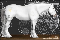 Horse Color:Bay Sabino Splash Rabicano