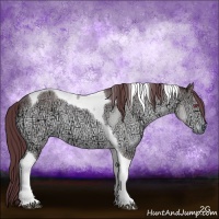 Horse Color:Chocolate Brown Chinchilla Ice Sabino Tobiano