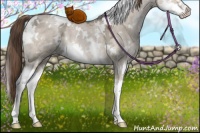 Horse Color:White Spotted Liver Red Dun Ice Splash 