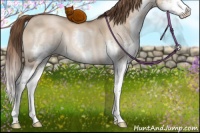 Horse Color:Brown Pearl Dun Sabino Splash 