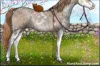 Horse Color:Liver Red Dun Sabino Rabicano
