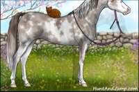 Horse Color:White Spotted Liver Red Dun Ice Splash 