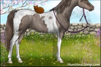 Horse Color:Liver Red Dun Ice Sabino Tobiano 