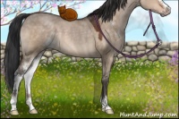 Horse Color:Brown Dun Sabino