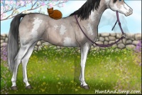 Horse Color:Brown Ice Roan Dun Sabino Splash