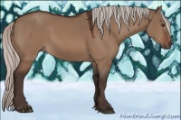 Horse Color:Silver Brown Dun 