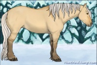 Horse Color:Silver Buckskin Dun 