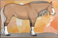 Horse Color:Silver Bay Dun Splash 