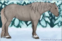 Horse Color:Silver Grullo Roan 