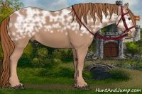 Horse Color:Chestnut Ice 