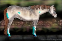 Horse Color:Liver Red Onyx Ice 