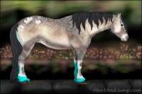 Horse Color:Brown Ice Onyx 