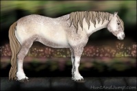 Horse Color:Red Onyx Ice