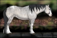 Horse Color:Blue Onyx Ice Roan Splash Varnish 