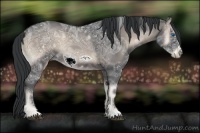 Horse Color:Blue Onyx Ice Frame 