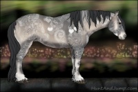 Horse Color:Blue Onyx Ice