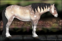 Horse Color:Brown Ice Onyx 