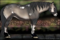 Horse Color:Blue Onyx 