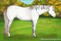 Horse Color:Gray Red Onyx Roan 