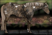 Horse Color:Chocolate Palomino Ice 