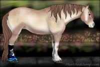 Horse Color:Blue Onyx Pearl 