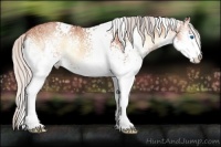 Horse Color:White Spotted Silver Bay Ice Onyx Splash