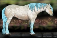 Horse Color:Watercolor Brown Ice Dun 